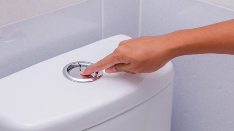 Toilet Flush 1024x576 1