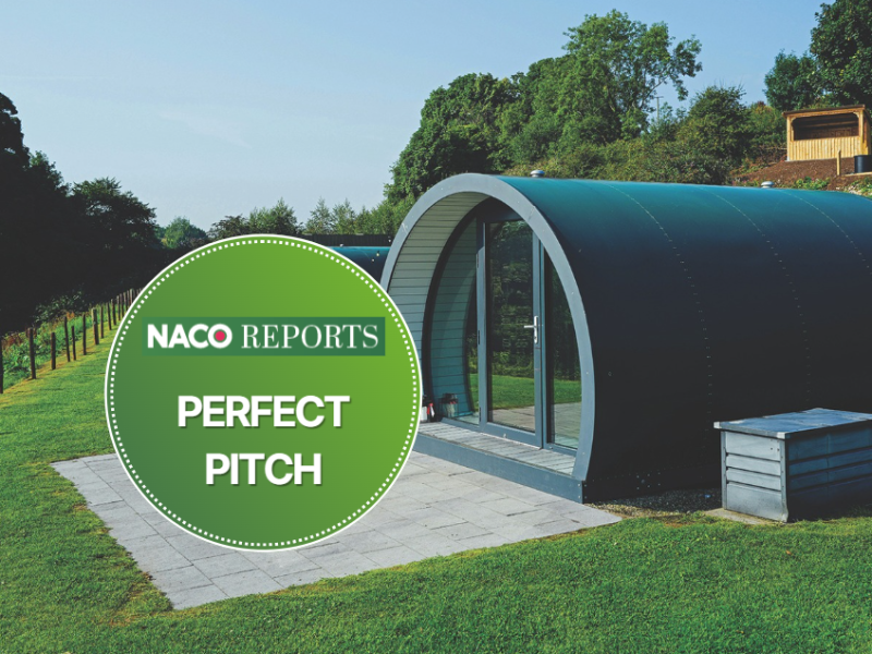 Perfect Pitch 2